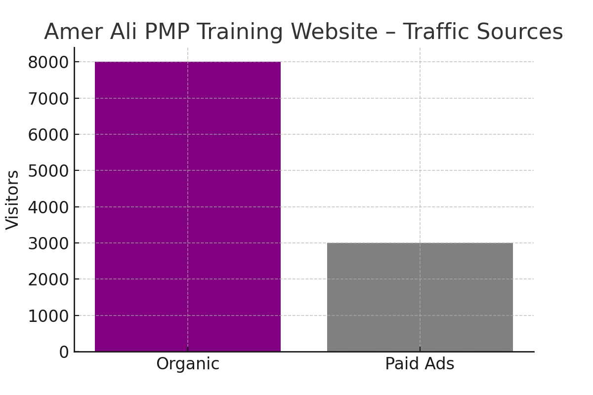 Home amer ali pmp website traffic sources